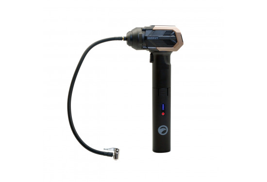 Компрессор переносной BERKUT DAC-300