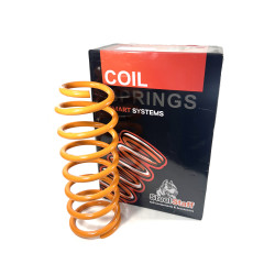 Пружина задняя усиленная SteelStaff для Toyota Land Cruiser 100 нагрузка 200-400 кг лифт до 25 мм