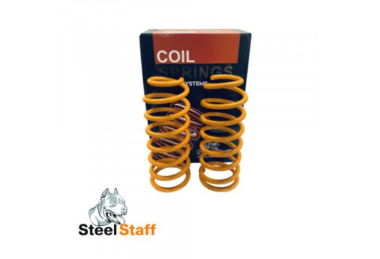 Пружины задние усиленные SteelStaff для Toyota LC Prado 150 нагрузка 0-200 кг лифт 50 мм