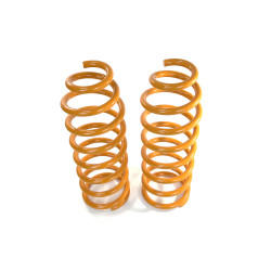 Пружины задние усиленные SteelStaff для Toyota LC Prado 90/95 и Toyota 4Runner/Surf 180/185 нагрузка 0-200 кг лифт 50 мм