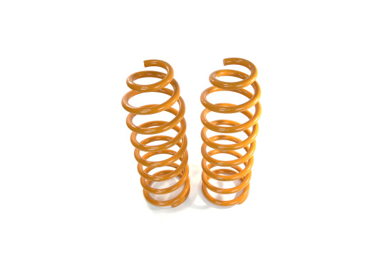 Пружины задние усиленные SteelStaff для Toyota LC Prado 90/95 и Toyota 4Runner/Surf 180/185 нагрузка 0-200 кг лифт 50 мм