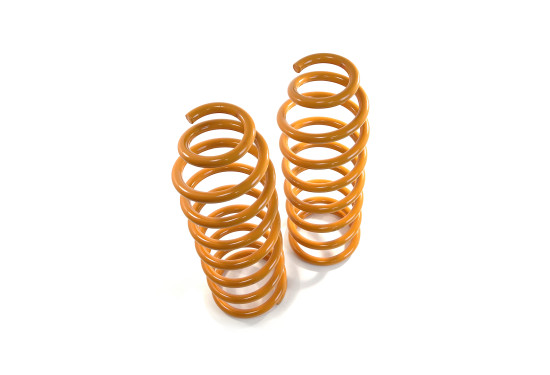 Пружины задние усиленные SteelStaff для Toyota LC Prado 90/95 и Toyota 4Runner/Surf 180/185 нагрузка 0-200 кг лифт 50 мм