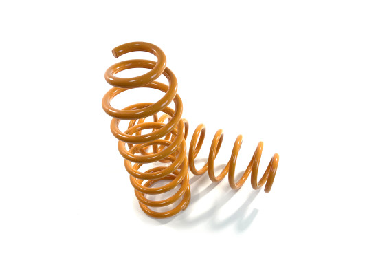 Пружины задние усиленные SteelStaff для Toyota LC Prado 90/95 и Toyota 4Runner/Surf 180/185 нагрузка 0-200 кг лифт 50 мм