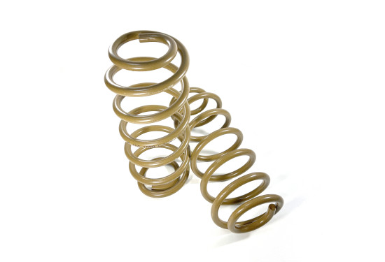 Пружины задние усиленные Tough Dog для Jeep Wrangler JL (5 дверей) лифт 40 мм нагрузка 0-150 кг