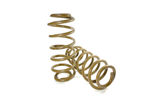 Пружины задние усиленные Tough Dog для Jeep Wrangler JL (5 дверей) лифт 40 мм нагрузка 0-150 кг