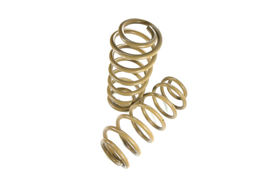 Пружины задние усиленные Tough Dog для Jeep Wrangler JL (5 дверей) лифт 40 мм нагрузка 0-150 кг